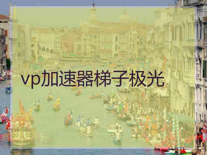 vp加速器梯子极光