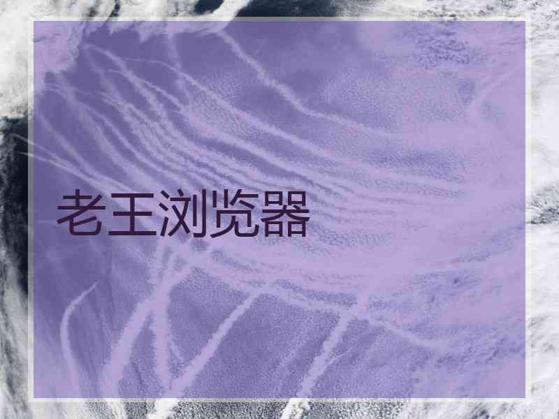 老王浏览器