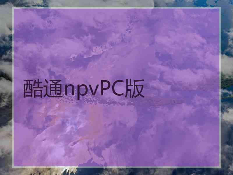 酷通npvPC版