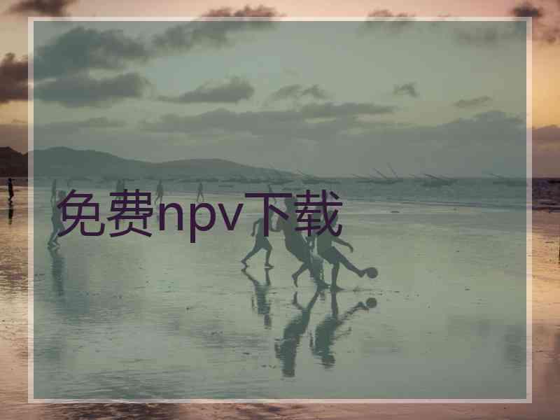 免费npv下载