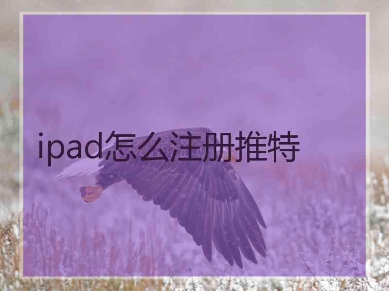 ipad怎么注册推特