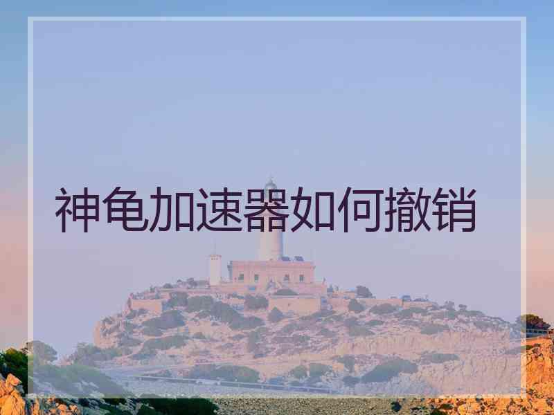 神龟加速器如何撤销