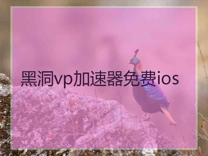 黑洞vp加速器免费ios