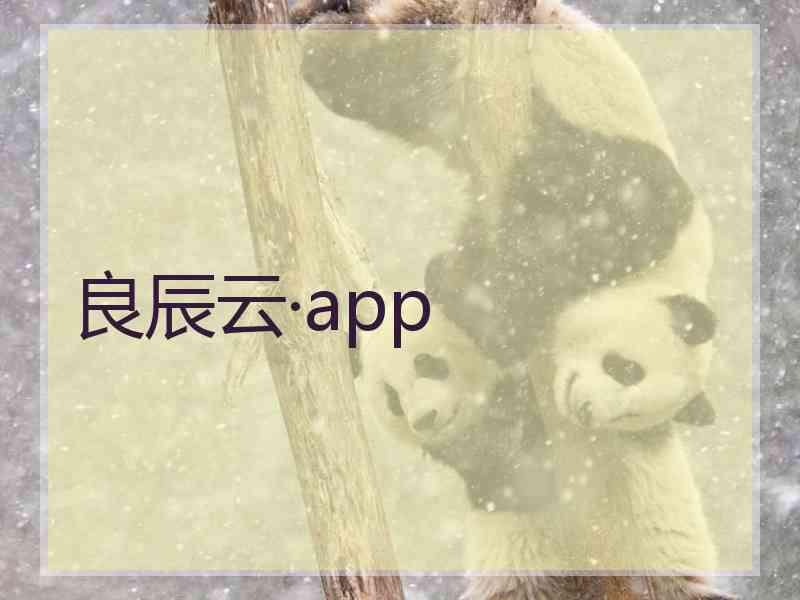 良辰云·app