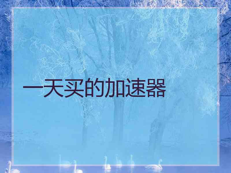 一天买的加速器