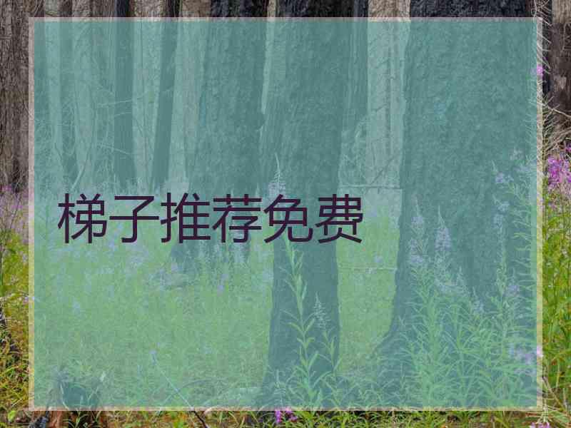 梯子推荐免费