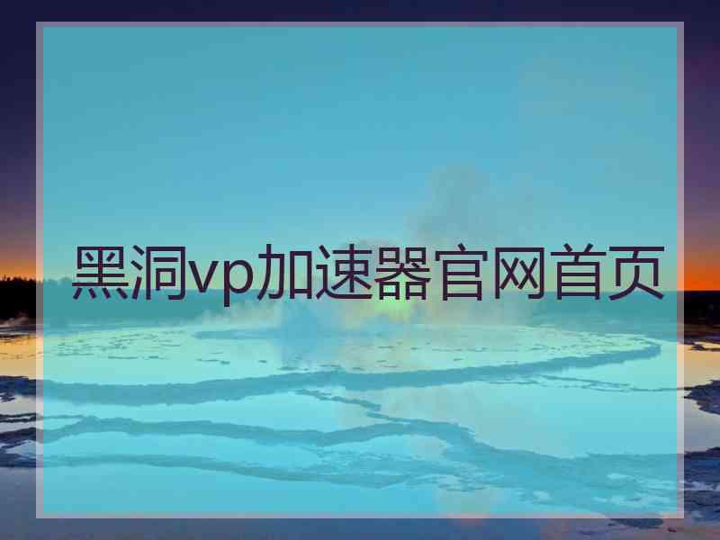 黑洞vp加速器官网首页