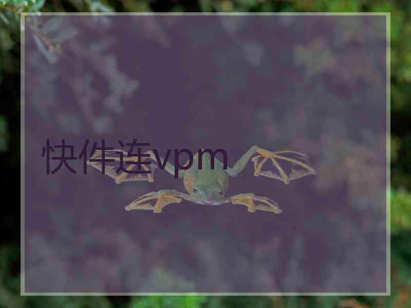 快件连vpm