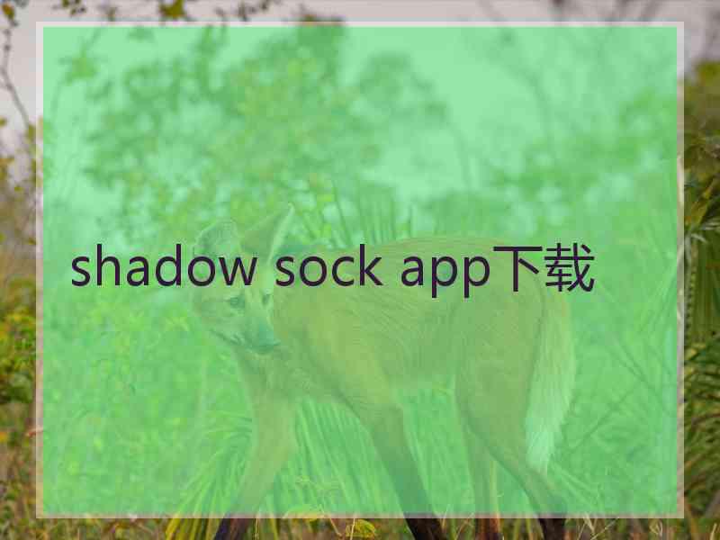 shadow sock app下载