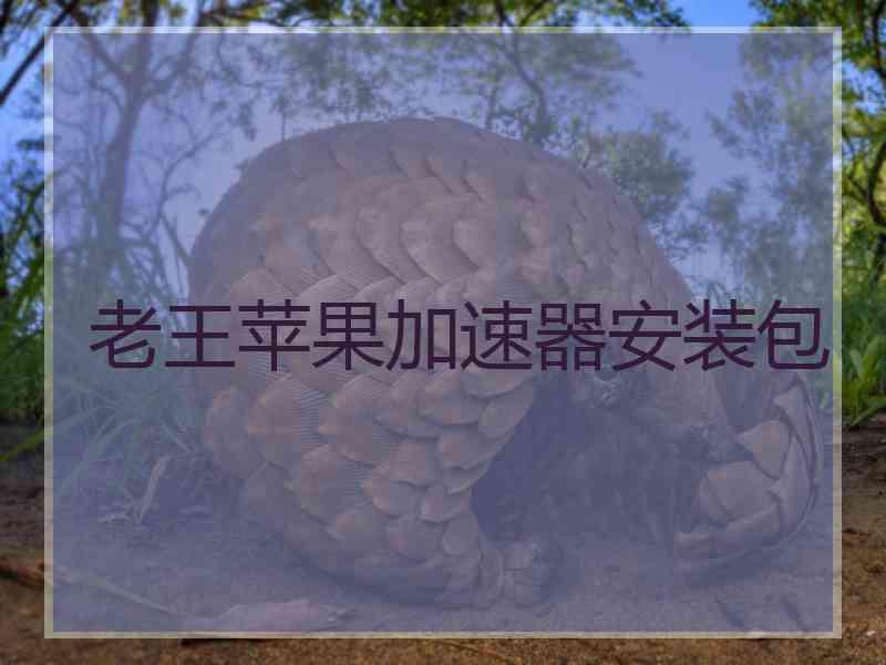 老王苹果加速器安装包