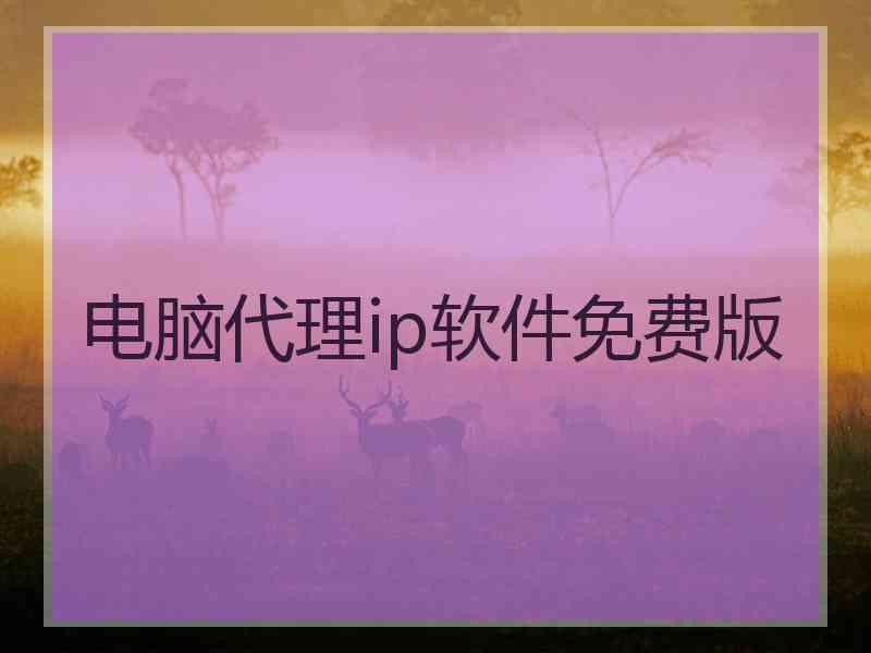 电脑代理ip软件免费版
