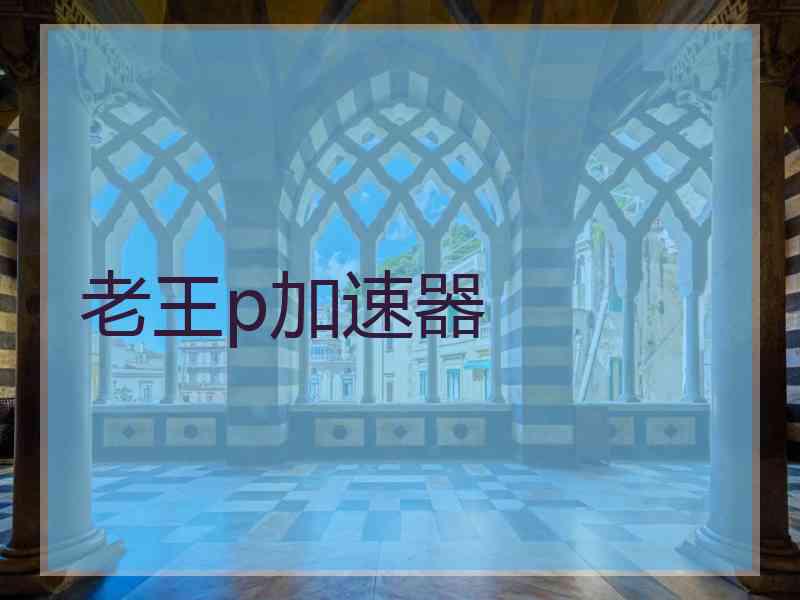 老王p加速器