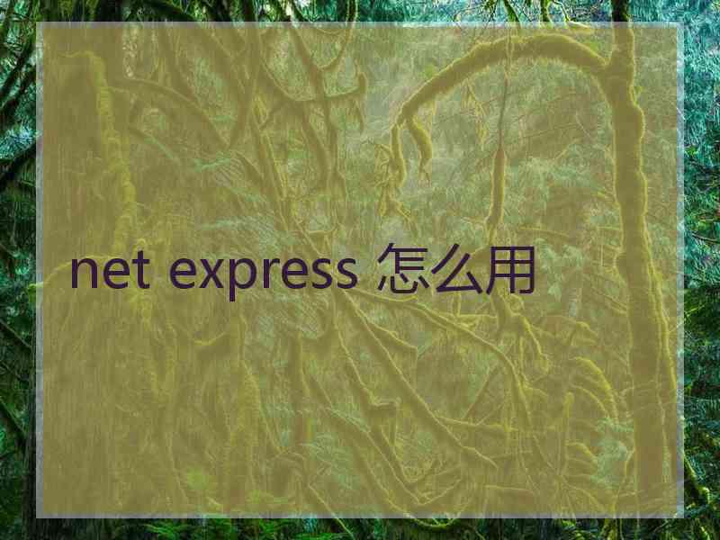 net express 怎么用