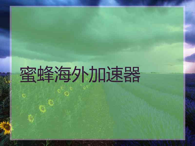 蜜蜂海外加速器