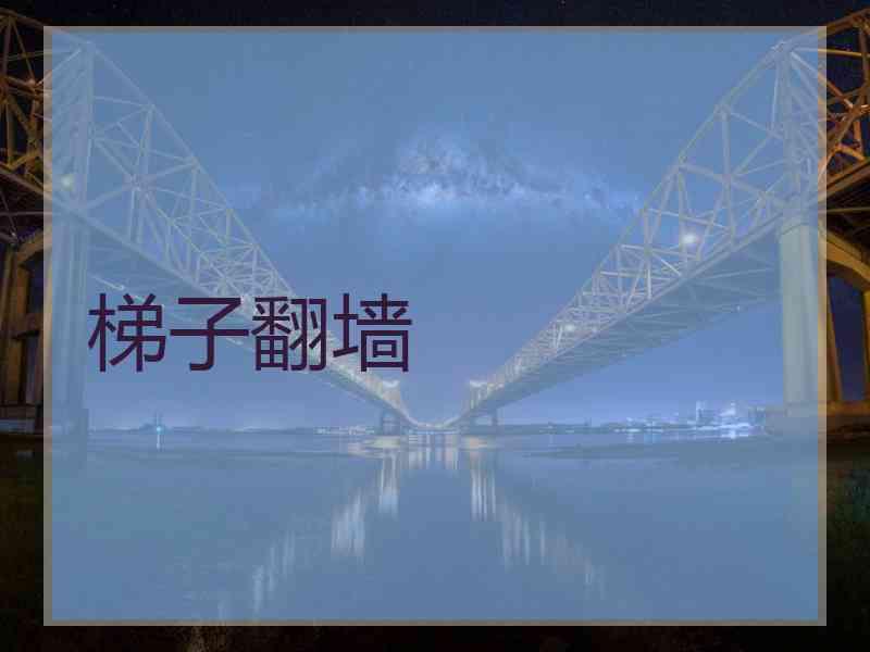梯子翻墙