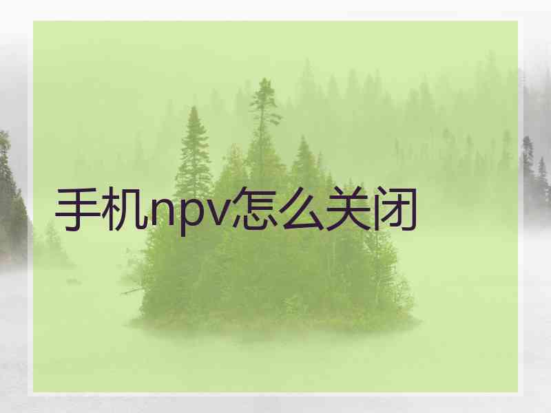 手机npv怎么关闭
