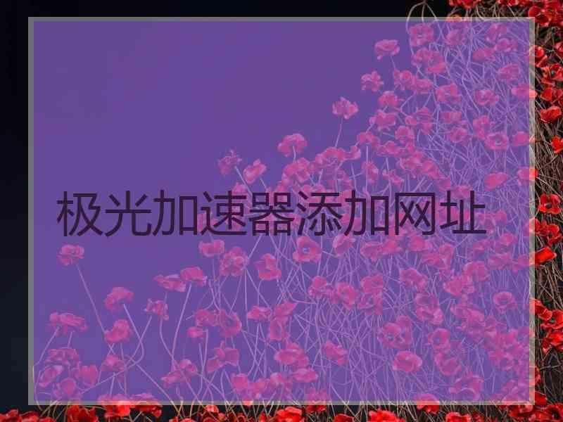 极光加速器添加网址