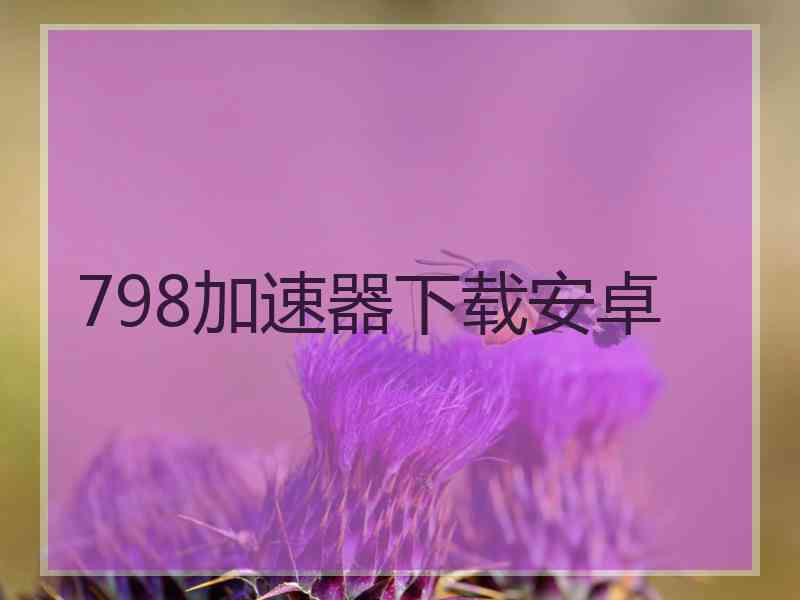 798加速器下载安卓
