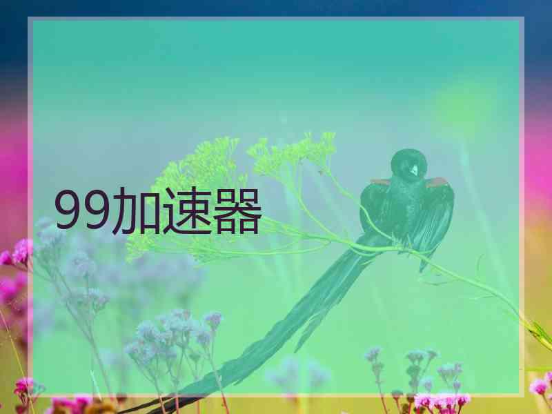 99加速器