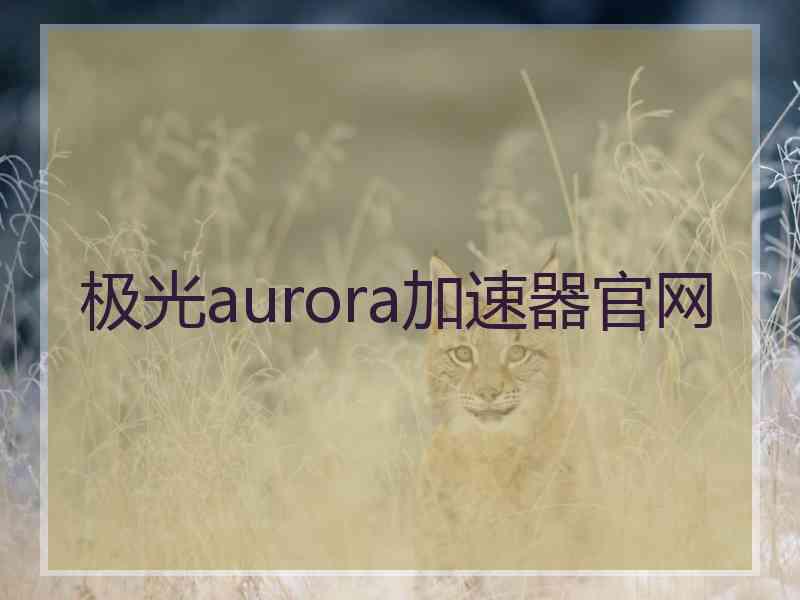 极光aurora加速器官网