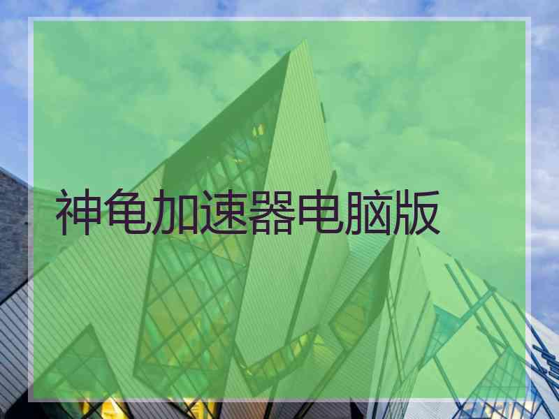神龟加速器电脑版