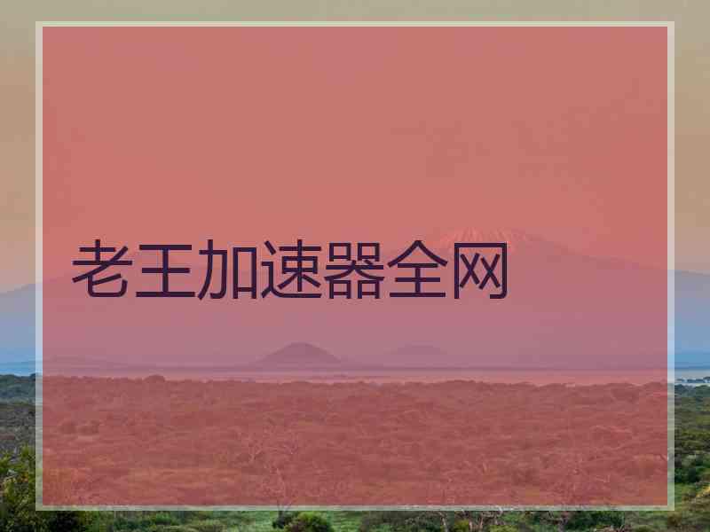 老王加速器全网