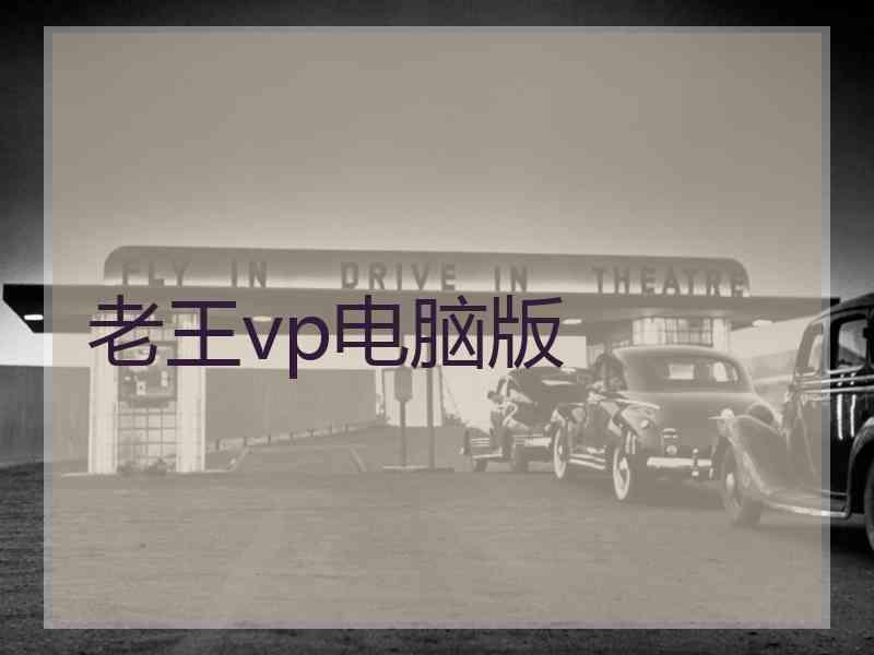 老王vp电脑版