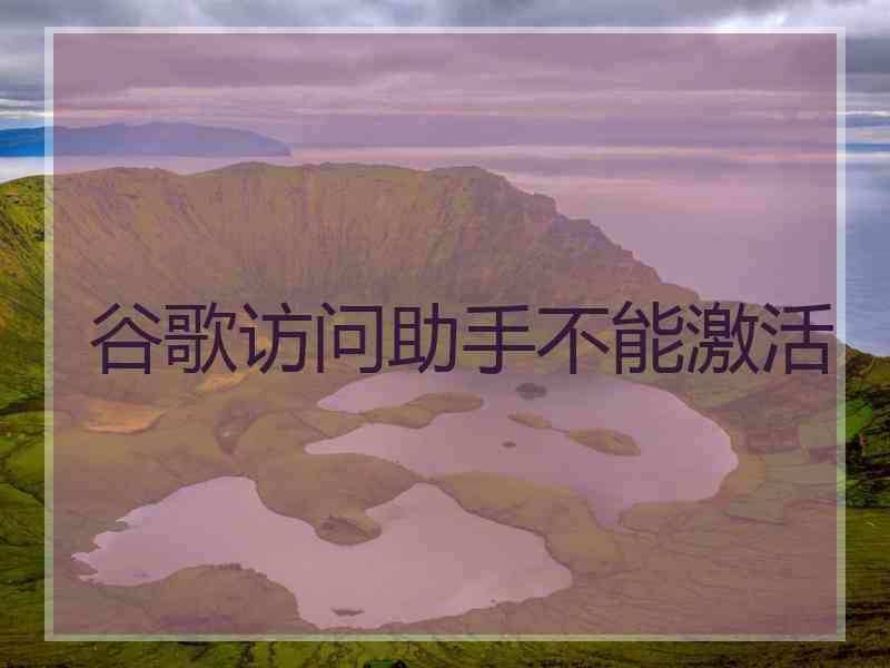 谷歌访问助手不能激活