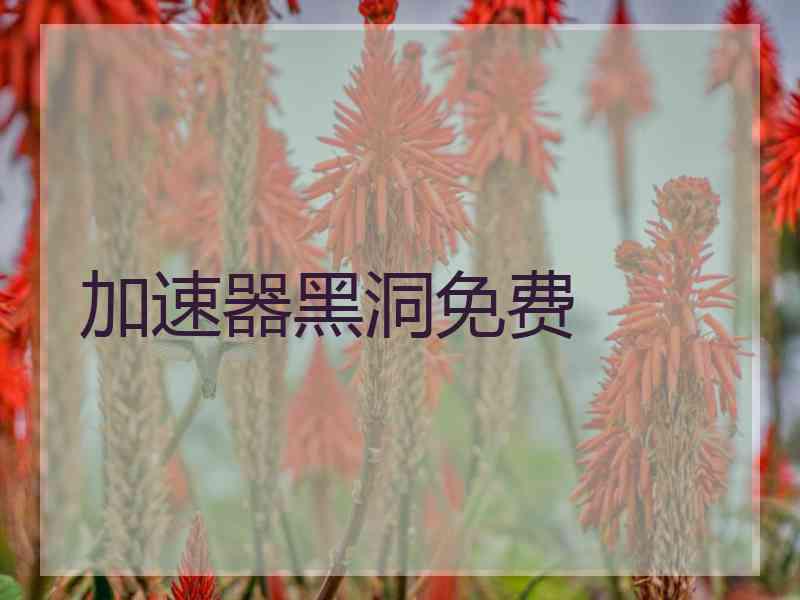 加速器黑洞免费