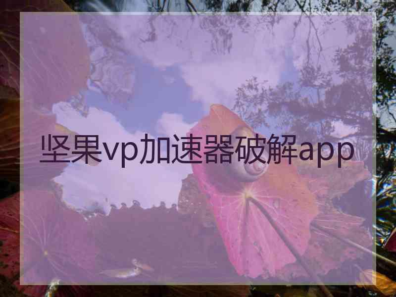 坚果vp加速器破解app