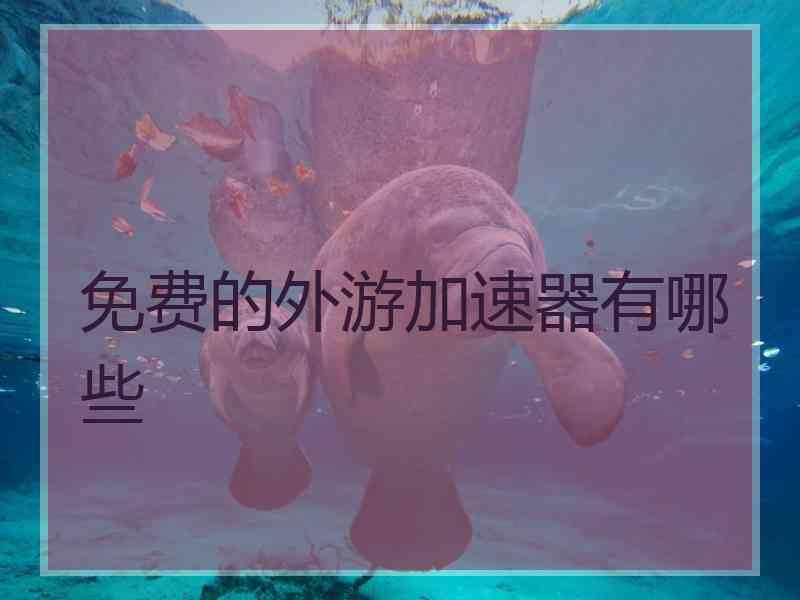 免费的外游加速器有哪些