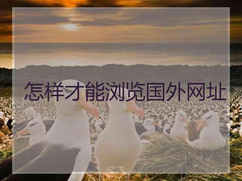怎样才能浏览国外网址