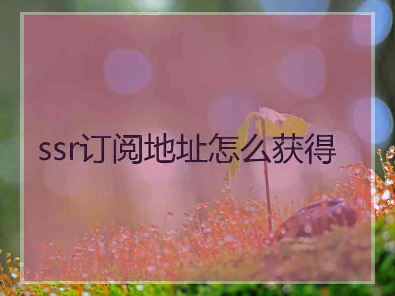 ssr订阅地址怎么获得