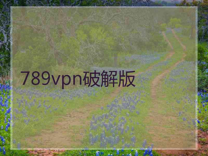 789vpn破解版