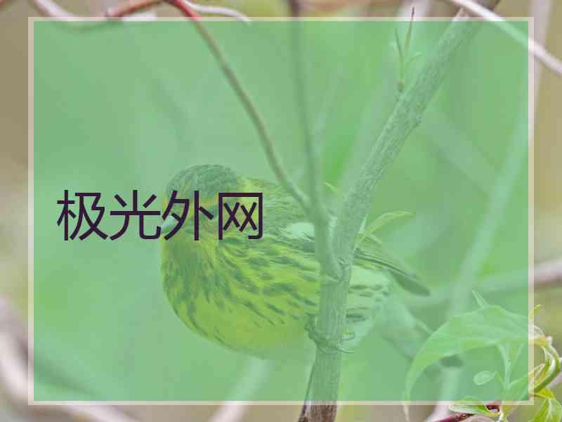 极光外网
