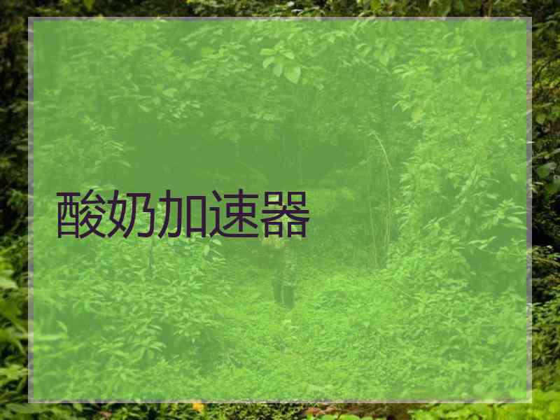 酸奶加速器