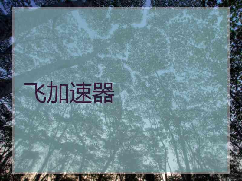 飞加速器