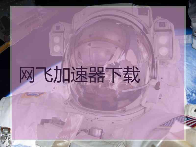 网飞加速器下载