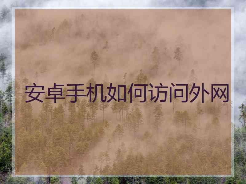 安卓手机如何访问外网