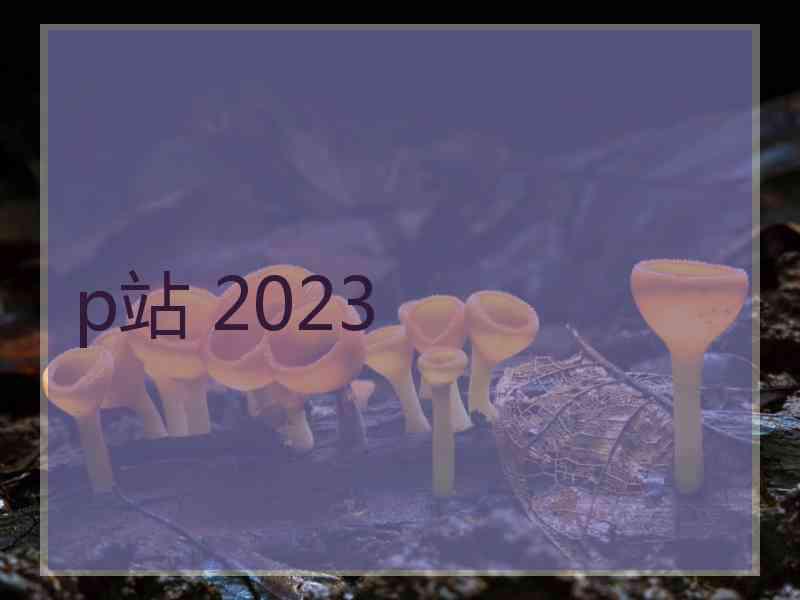 p站 2023