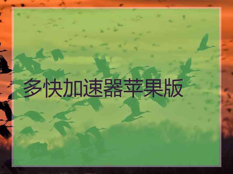 多快加速器苹果版
