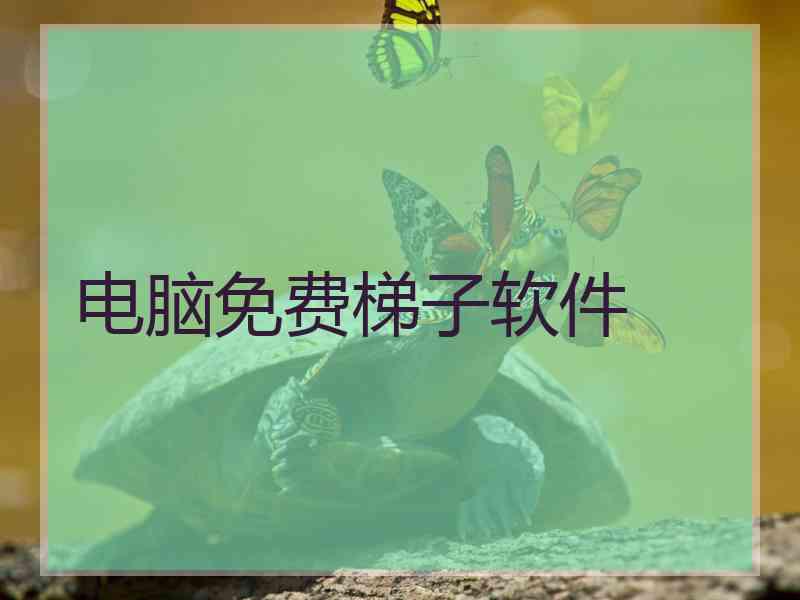 电脑免费梯子软件