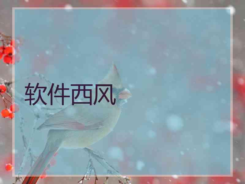 软件西风