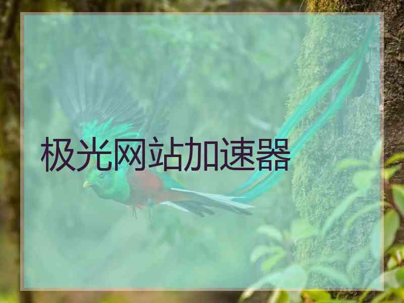极光网站加速器