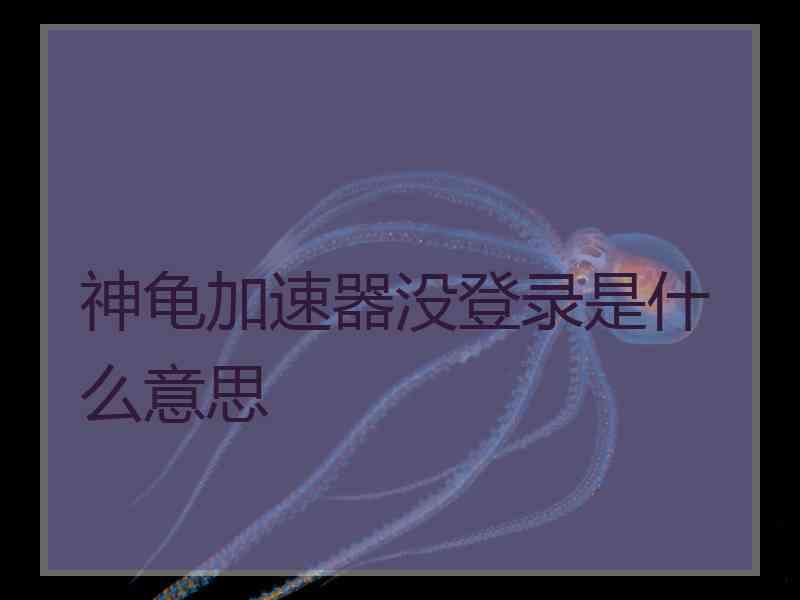 神龟加速器没登录是什么意思
