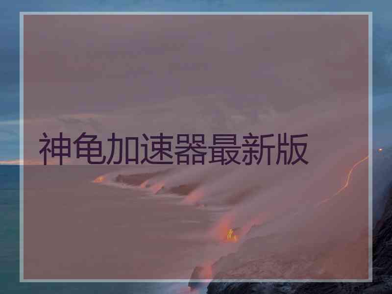神龟加速器最新版