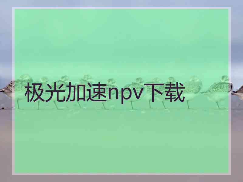 极光加速npv下载