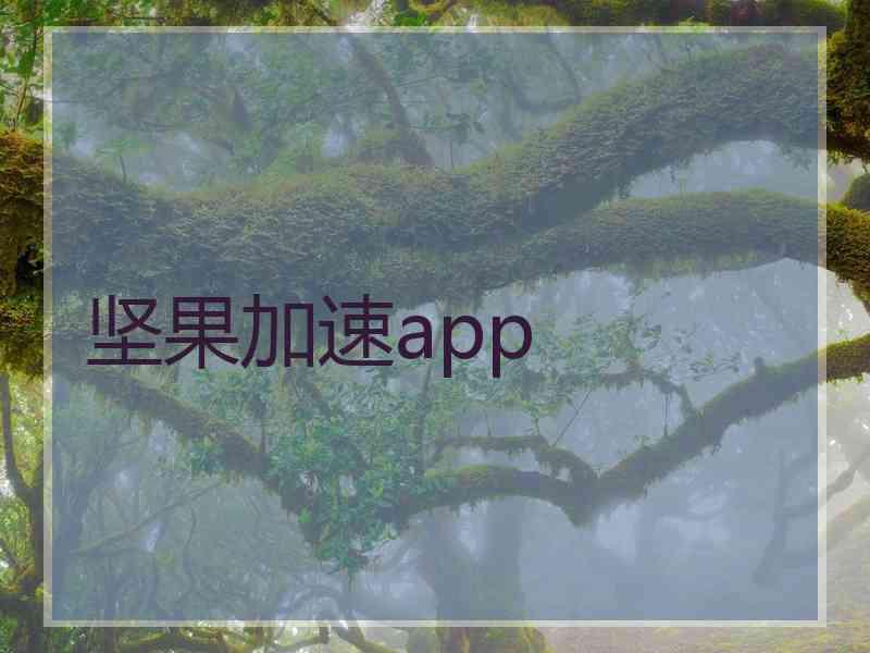 坚果加速app