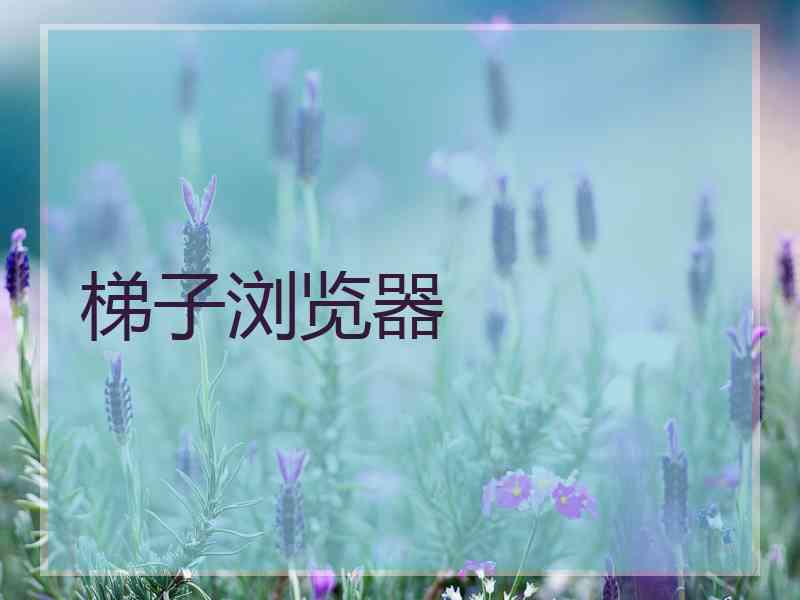 梯子浏览器