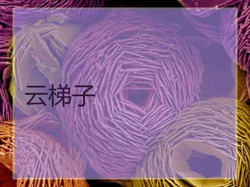 云梯子